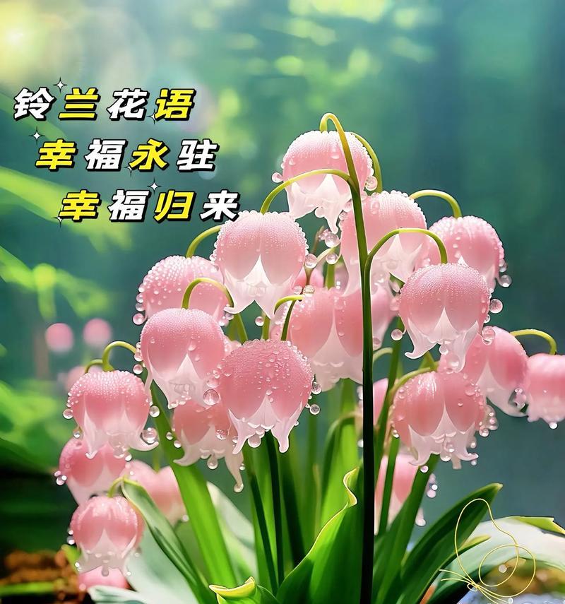 哪些花的花语寓意健康？