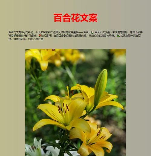 花语中健康平安的句子有哪些？简短的花寓意健康平安的表达？
