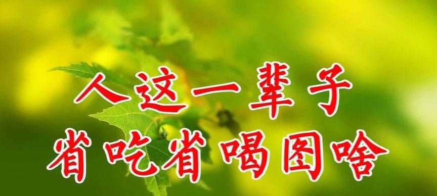 什么花寓意是节俭的？有哪些花代表节俭？