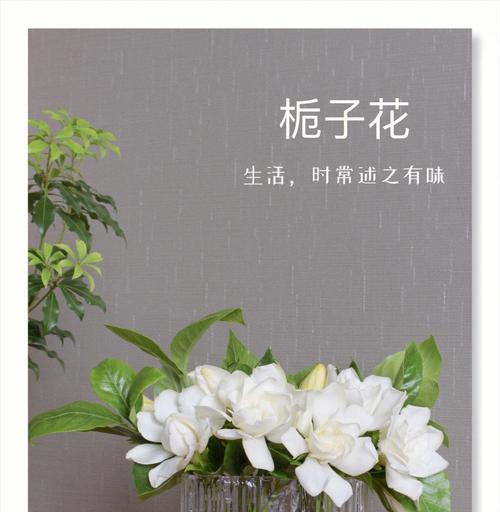 端午节摘栀子花有什么寓意？栀子花在端午节的意义是什么？