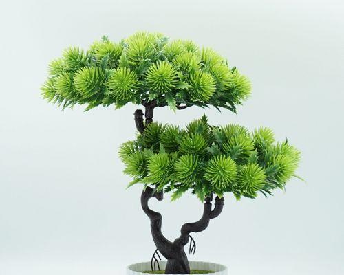 哪种绿色花卉寓意结婚？