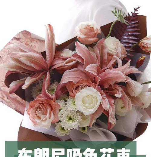 吸色花的花语是什么？吸色花代表了哪些意义？