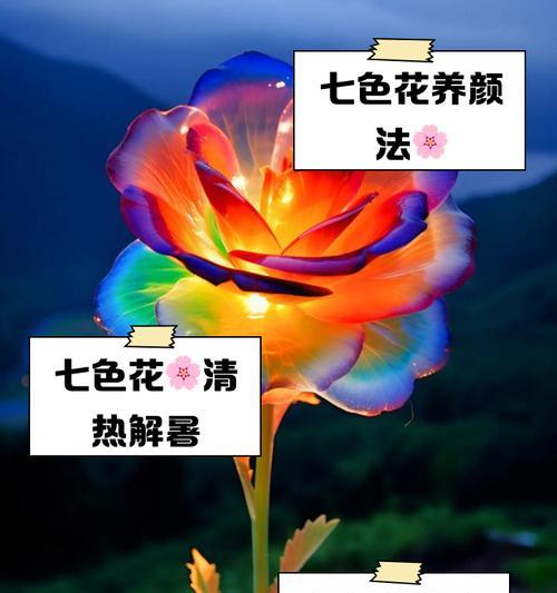 吸色花的花语是什么？吸色花代表了哪些意义？