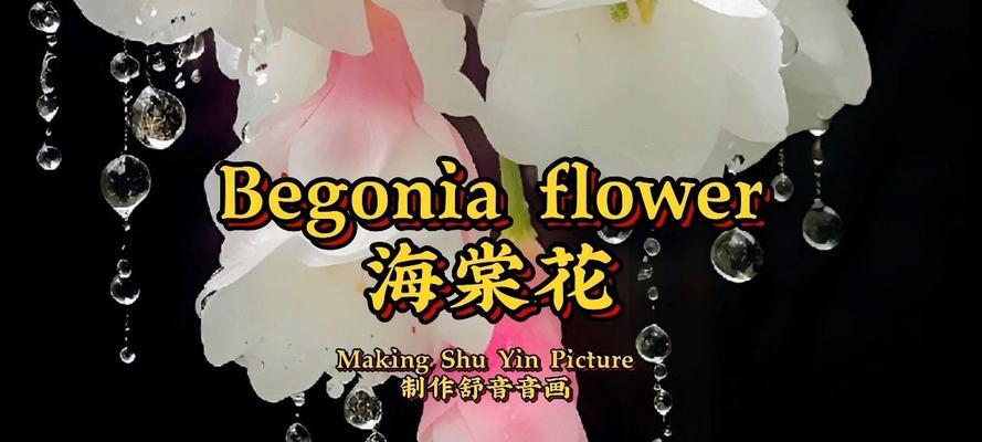 哪些花象征吉祥安宁？吉祥安宁的花有哪些特点？