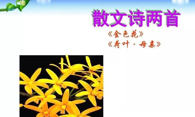 金色花在课文中的含义是什么？它象征着什么？