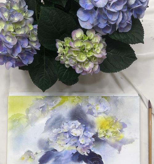 白色绣球花的意义是什么？它们代表了什么？