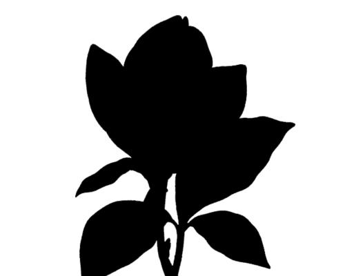 黑色渐变花的含义是什么？象征着什么？