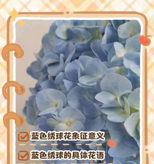 平安寓意的绣球花有哪些品种？它们的花语是什么？