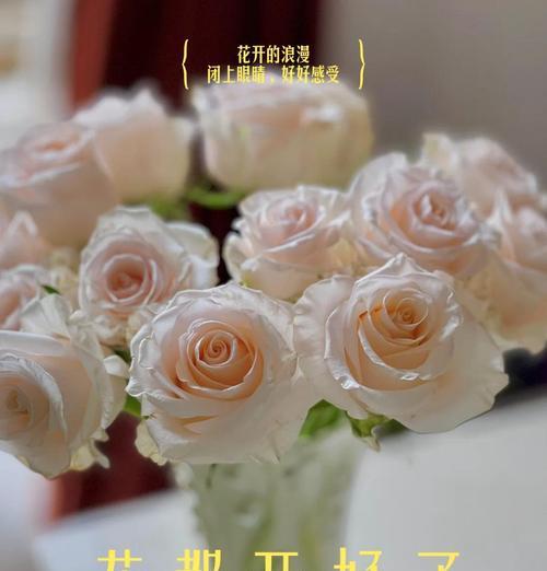 香槟色的花的意思和寓意是什么？香槟色花语有哪些？