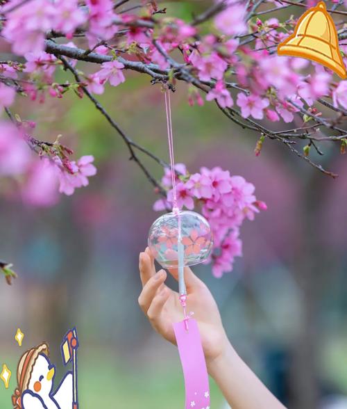 花朝节的花有何特别寓意？它们象征着什么？