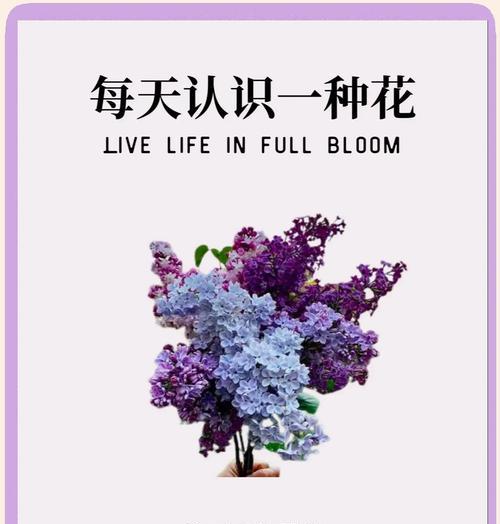 为什么花常被视为爱情的象征？
