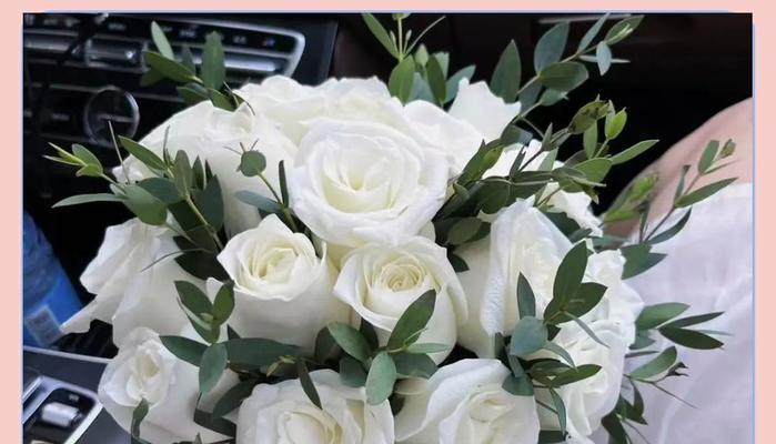 菊花手捧花的寓意是什么？适合什么场合？
