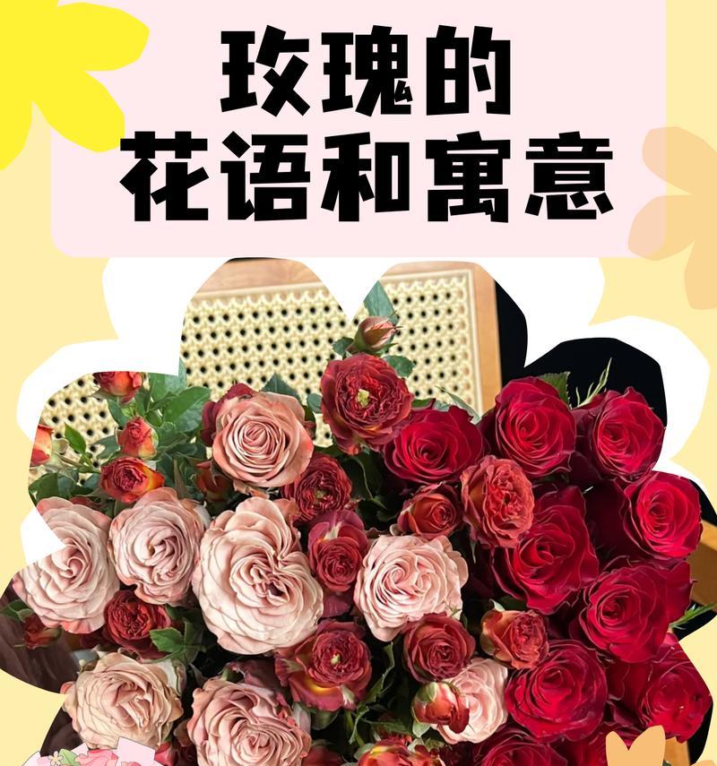 如何用花语表达浪漫情感？