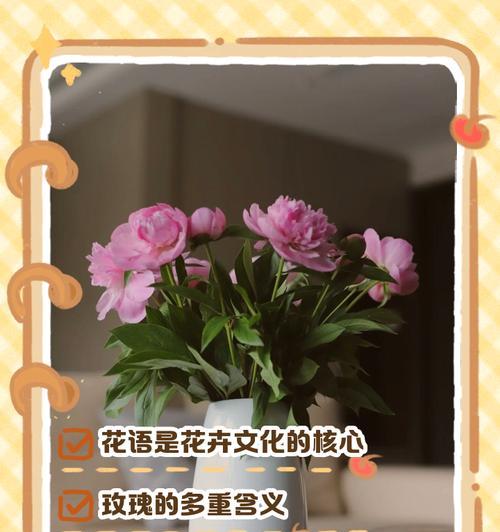 如何用花语表达浪漫情感？