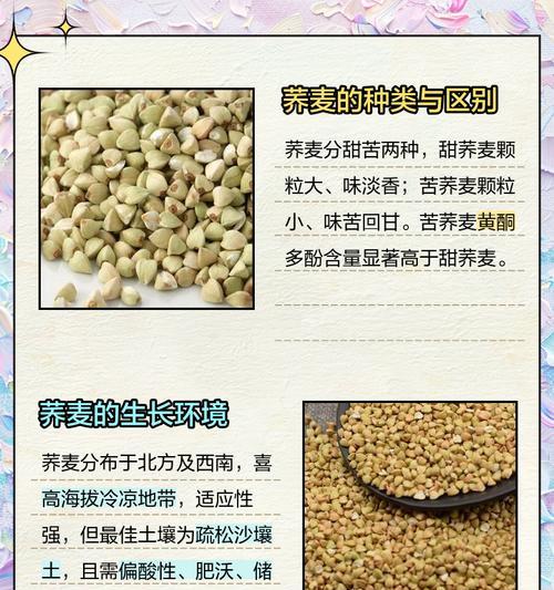 荞麦花的创作背景及其意义是什么？