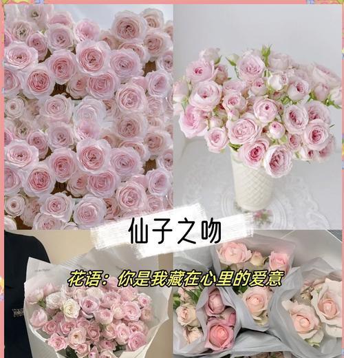 黄色多头玫瑰花的寓意是什么？它在花语中代表什么？