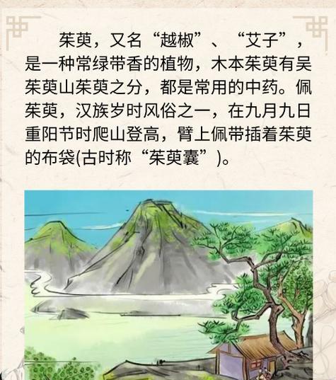重阳节佩戴茱萸花有何特殊含义？