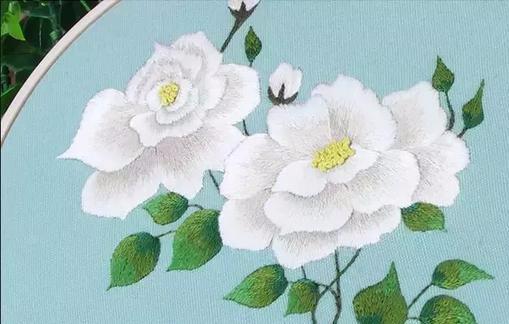 青春青色象征的花有哪些？它们代表了什么？