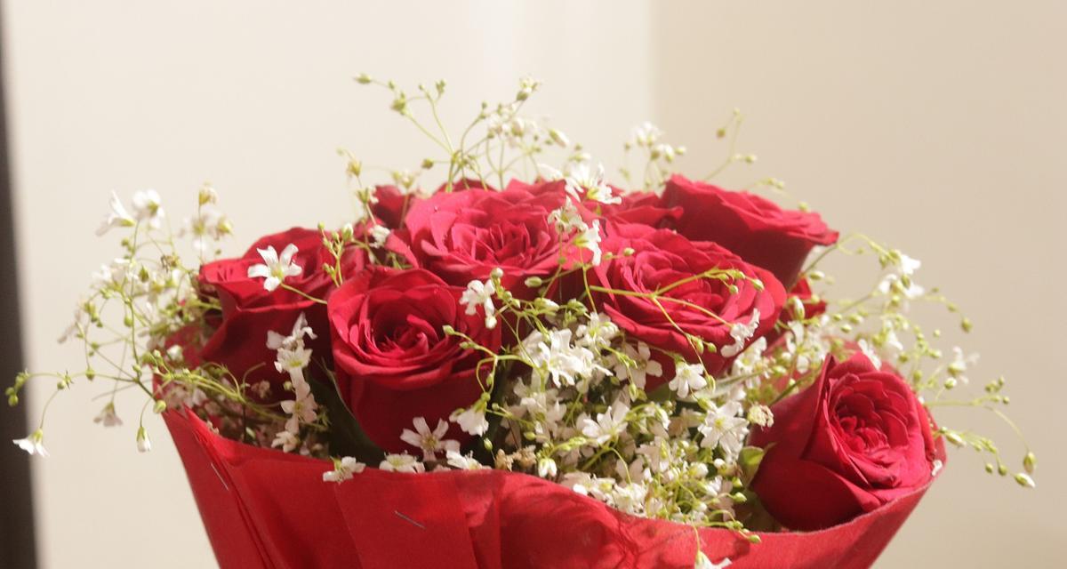 送红色的花代表什么意义？红色花语有哪些？