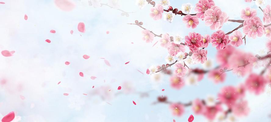 古装剧中花的背景意义是什么？