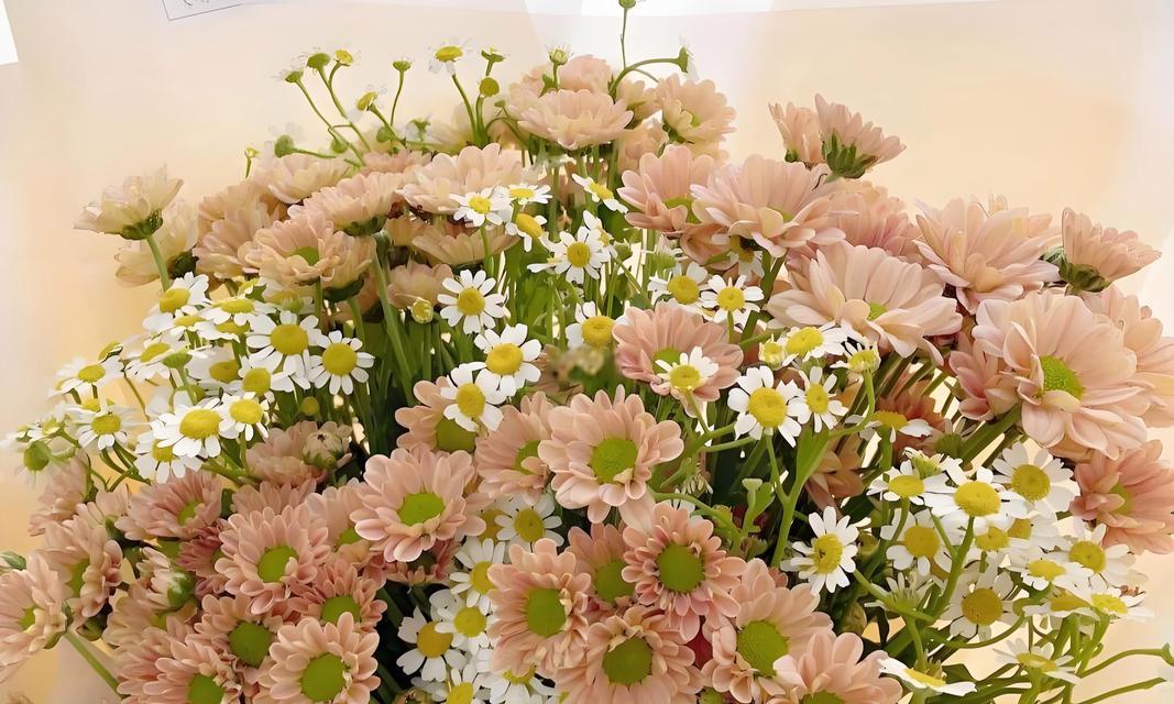 哪种花寓意着多种祝福？