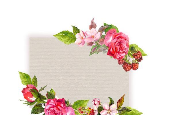 古董花有哪些特点和寓意？如何用古董花表达浪漫？