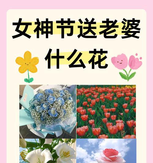 自由爱情的花语是什么？有哪些花代表自由爱情？