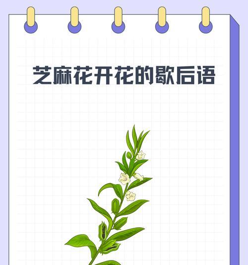 芝麻开花节节高的花寓意有哪些？