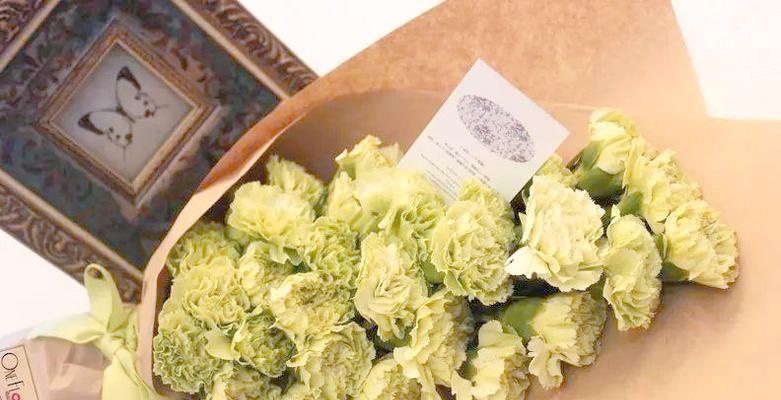 父亲节有寓意的花是什么？选择哪种花最合适？