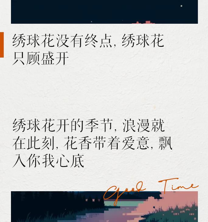 浪漫遗憾的花语是什么？