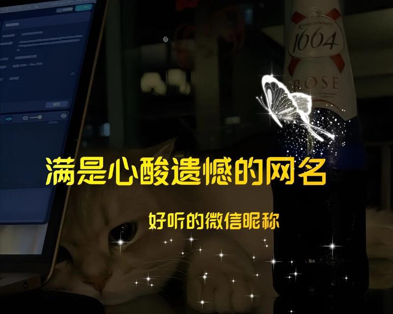 浪漫遗憾的花语是什么？