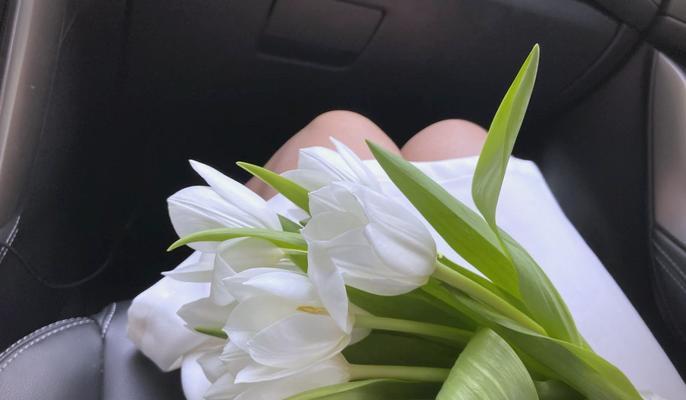 手捧花不包含郁金香时代表什么？