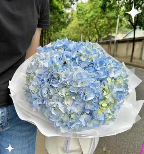 哪种花象征长寿和家庭团聚？