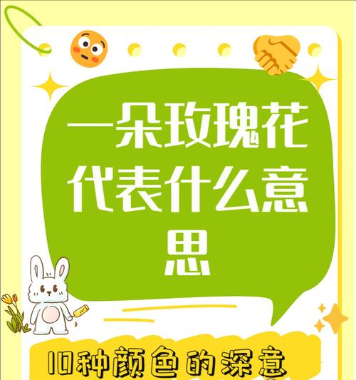 寓意文轩爱情的花是什么？象征爱情的花有哪些？