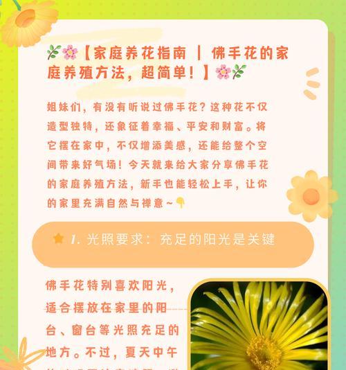 哪种花寓意财运和平安？