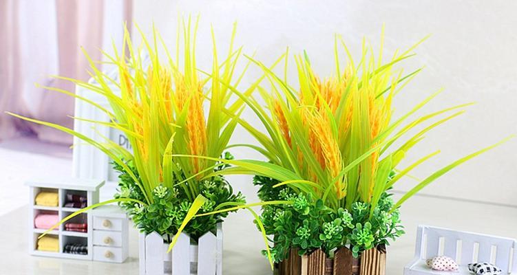 小麦黄色假花有何寓意？假花颜色的象征意义是什么？
