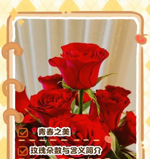 十色花的含义是什么？十色花代表了哪些寓意？