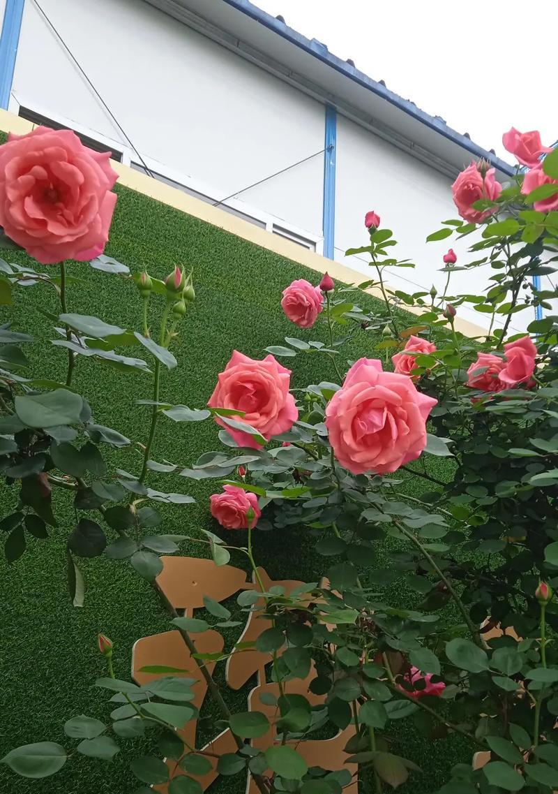结婚手捧花闪动有何寓意？结婚手捧花的象征意义是什么？