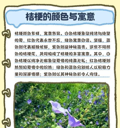 绿色的洋桔梗花寓意和象征是什么？洋桔梗花在花语中通常代表什么？