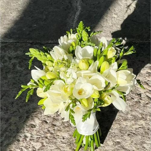 小苍兰的花语是什么？如何用小苍兰表达祝福？