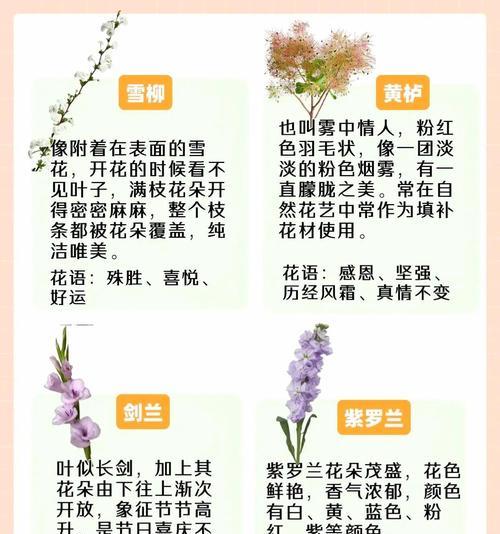 春节时花卉有哪些特别的意义？