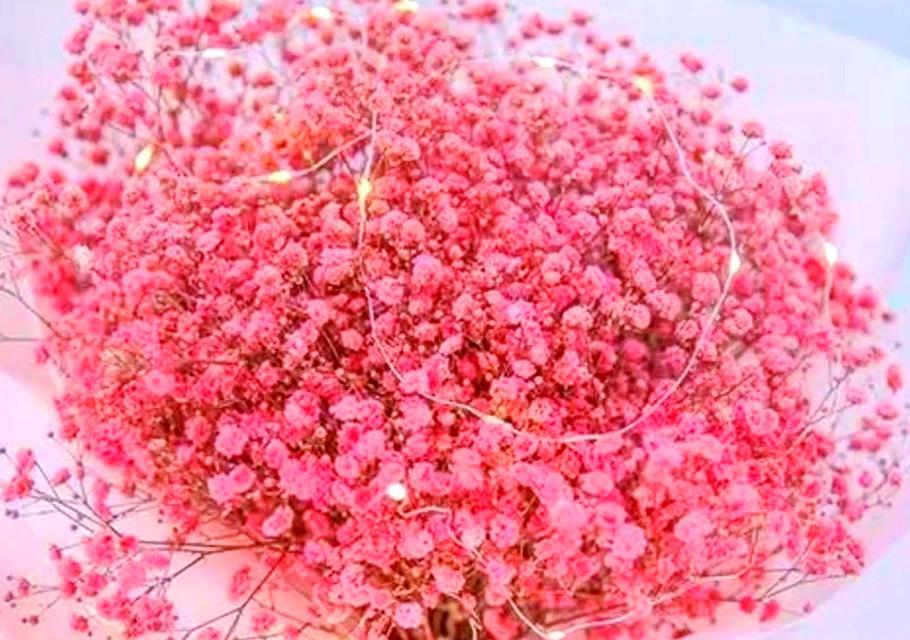 黄色满天星花语是什么？