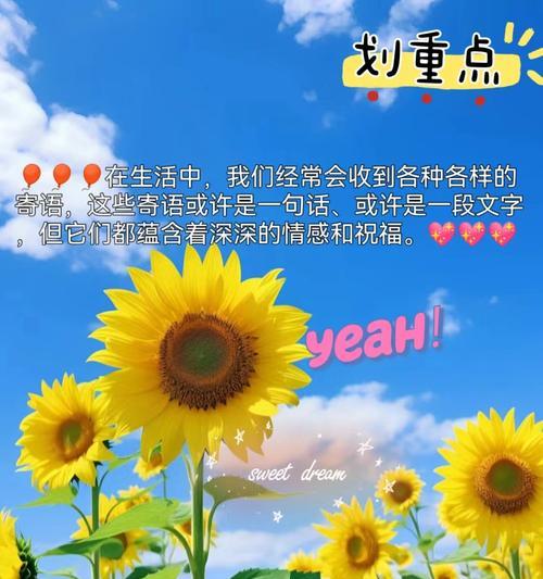 用花的寓意祝福的话语有哪些？如何表达？