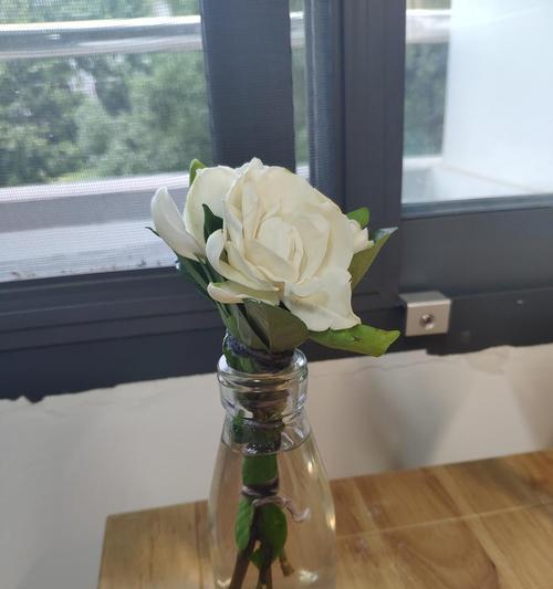 清明节栀子花束有何特殊含义？