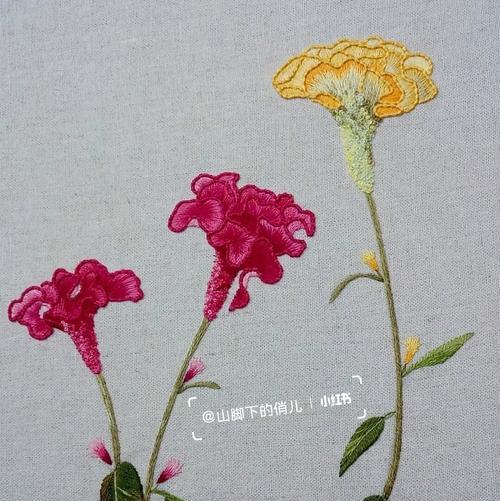 教师节送鸡冠花有何深层含义？