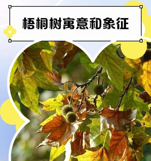 古文化中树木和花有哪些特殊意义？