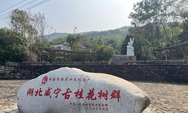 古文化中树木和花有哪些特殊意义？
