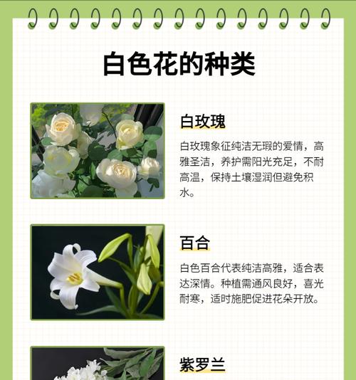 各种象征爱情的花有哪些？如何用花表达爱意？