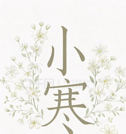 冬天节气花有哪些寓意？它们各自代表什么？