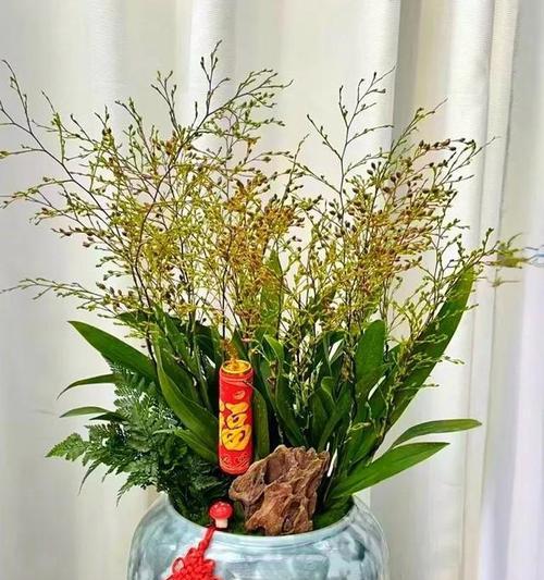 哪种花寓意带来好运？好运花有哪些？